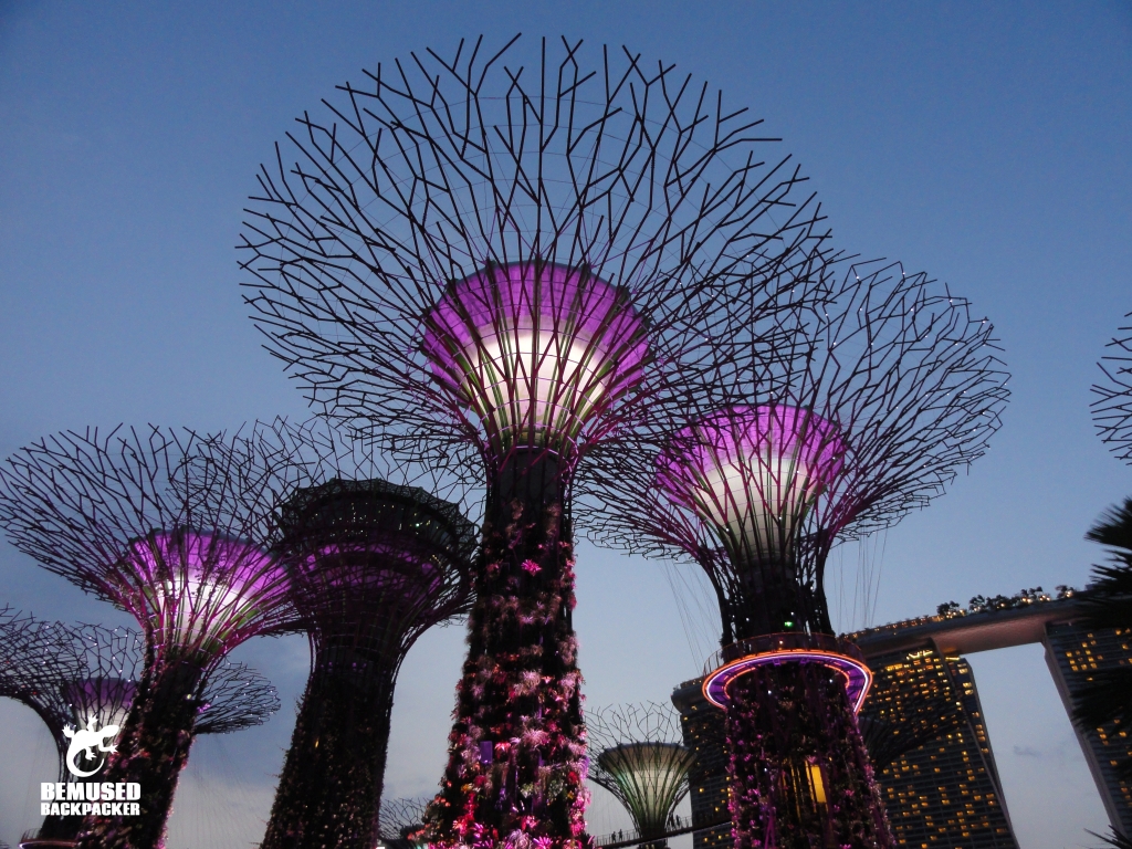 Supertrees in Singapore Gardens By The Bay