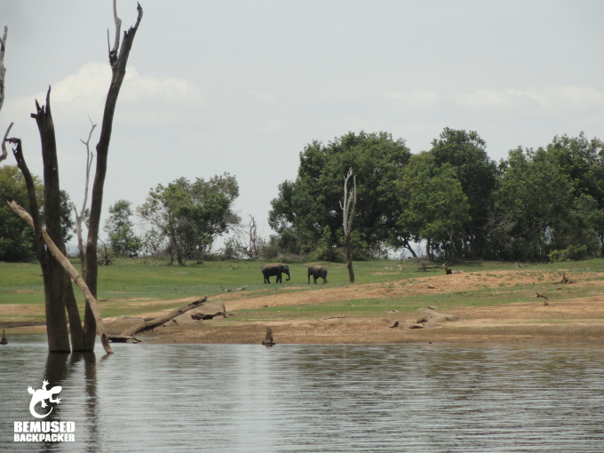 Elephant Safari Responsible Tourism Gal Oya National Park Sri Lanka