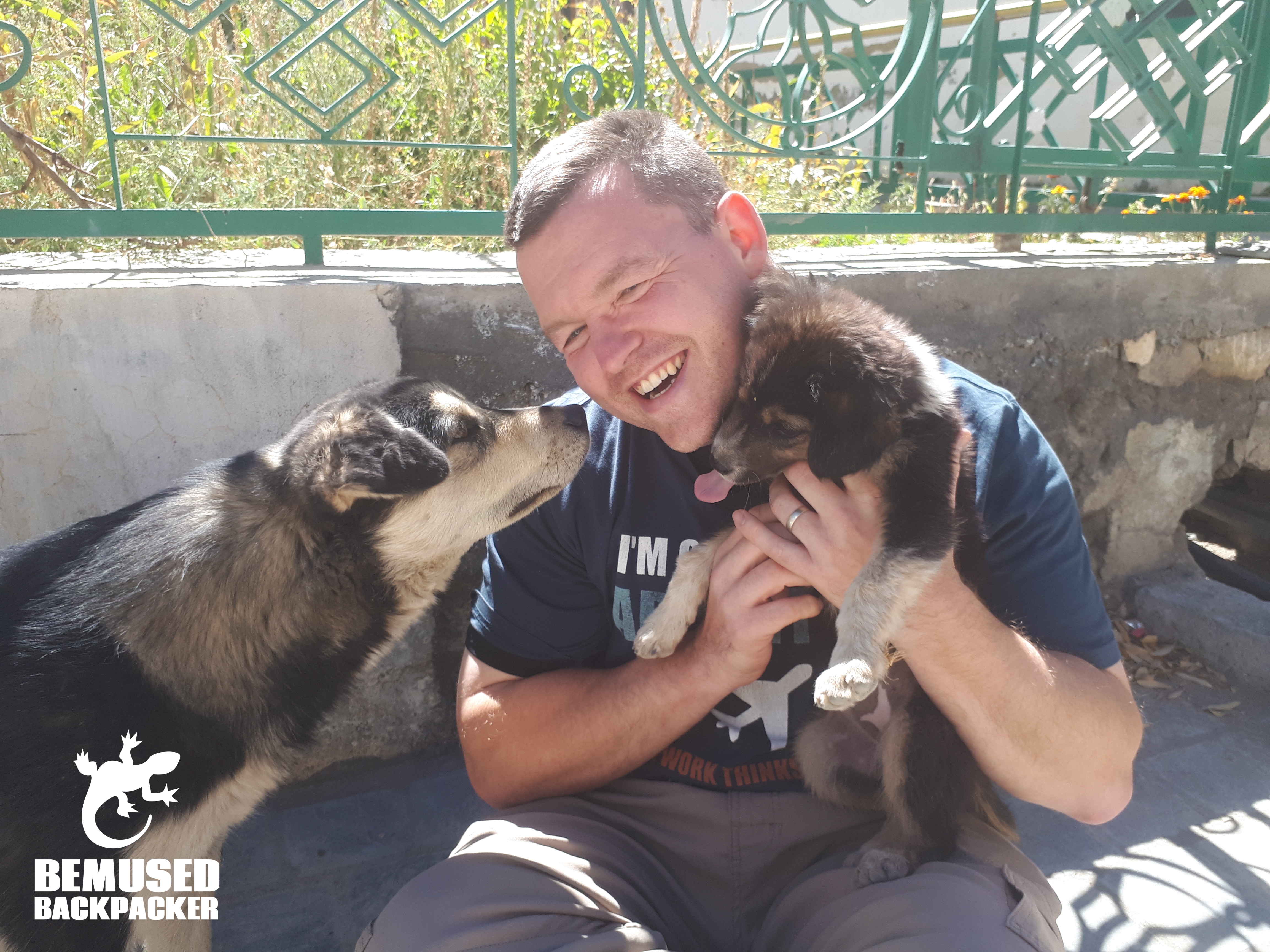 Michael Huxley with dogs Himalaya Road Trip